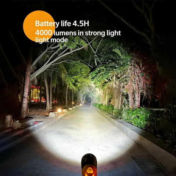 Professional Diving Flashlight